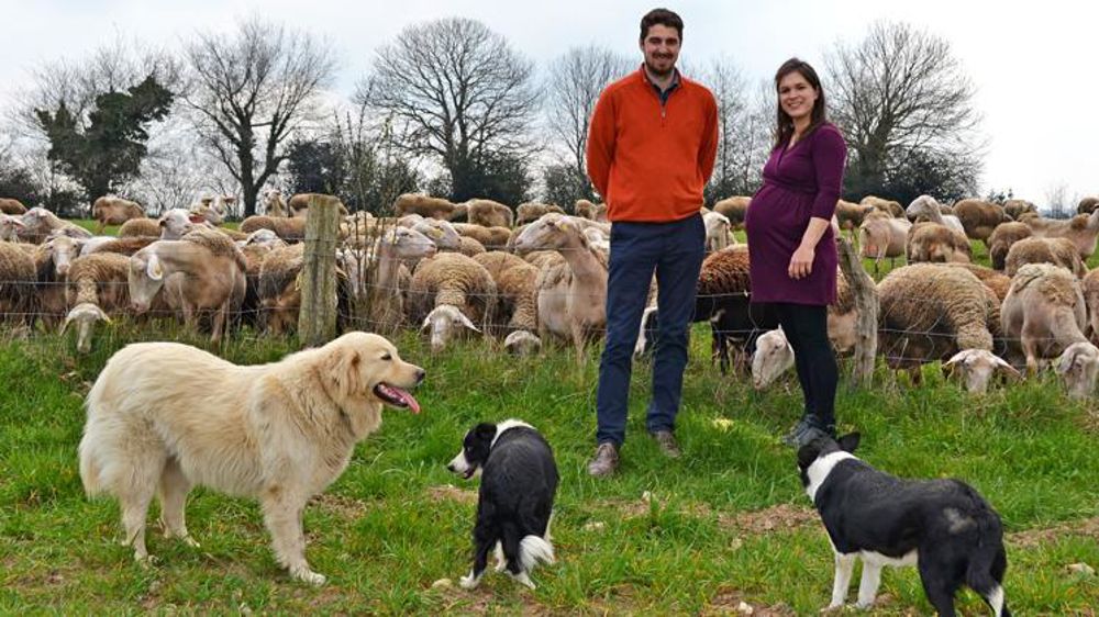 Jean-Charles et Noélie Vayssettes élèvent 300 brebis lacaunes et produisent du lait pour le roquefort Papillon et les fromages aveyronnais des Artisous. © DR